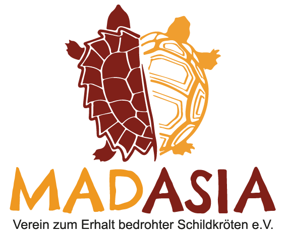 MADASIA – Verein zum Erhalt bedrohter Schildkröten e.V.