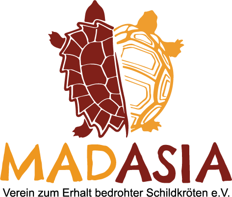 Madasia Logo